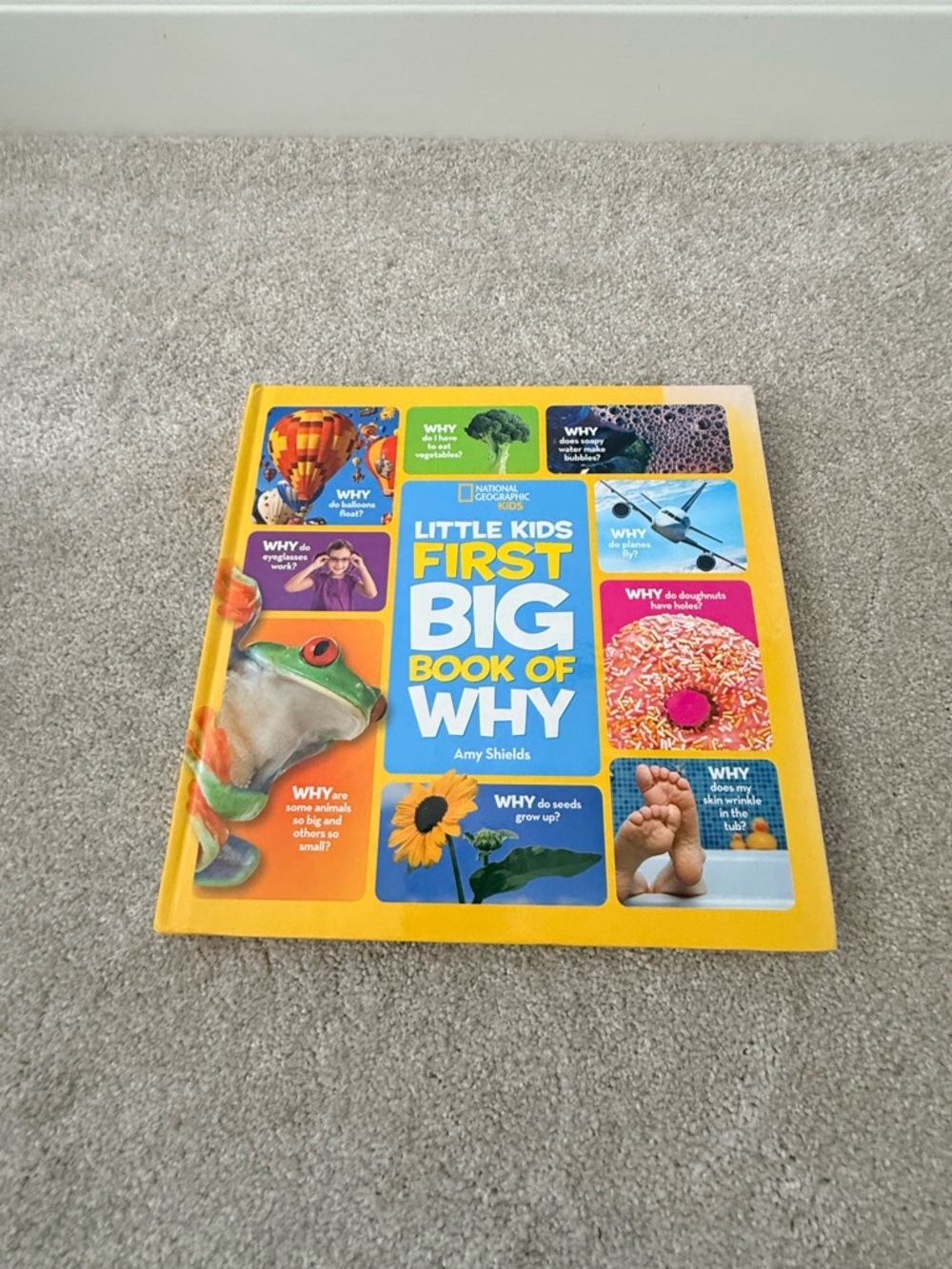 National Geographic Little Kids First Big Book of Why - Yellow and Blue Cover
